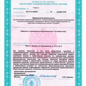 Лицензия на медицинскую деятельность ООО «Он Клиник люкс» № Л041-01137-77/00323390 от 29.12.2020, лист 2 из 13
