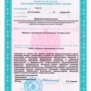 Лицензия на медицинскую деятельность ООО «Он Клиник люкс» № Л041-01137-77/00323390 от 29.12.2020, лист 8 из 13